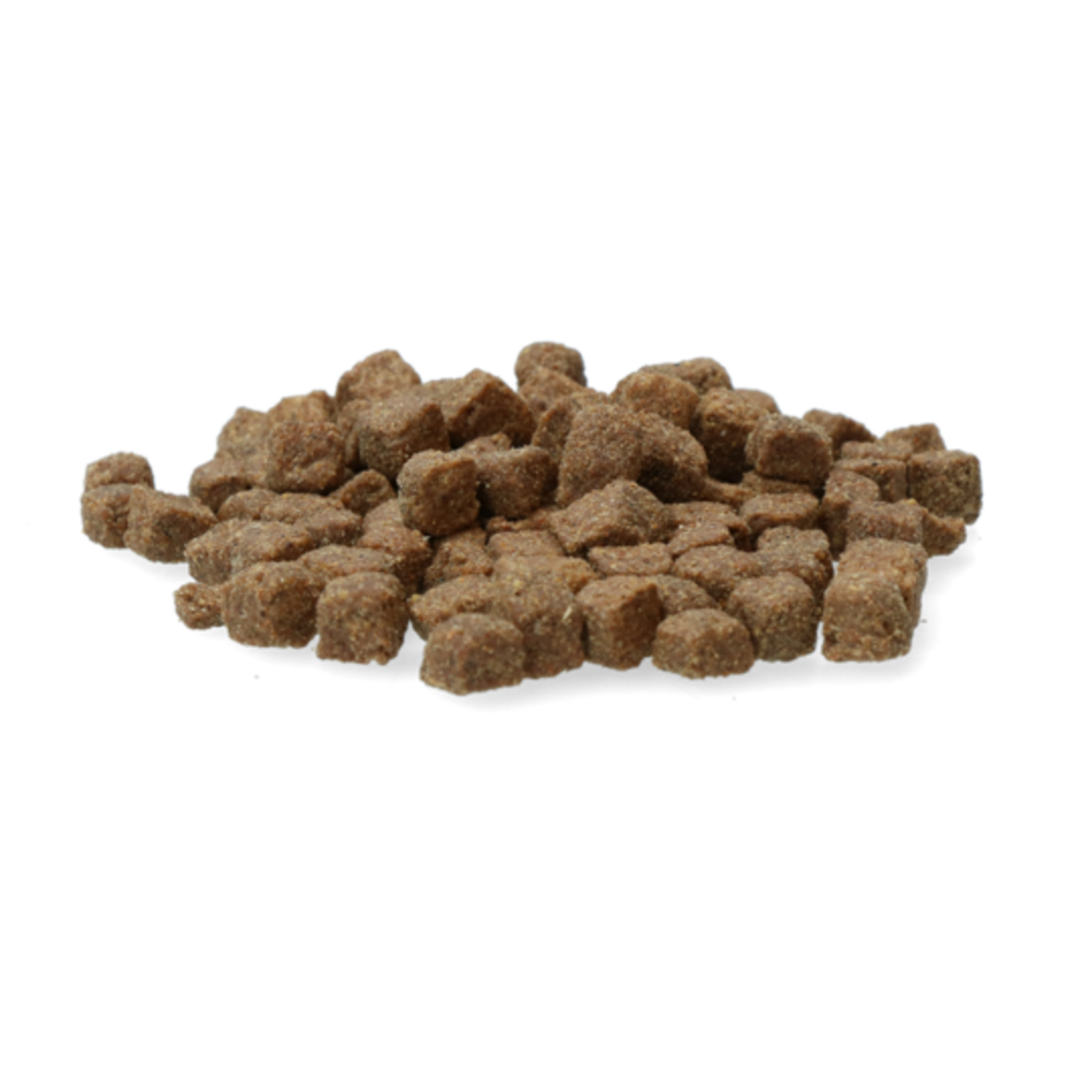 Excellent Topbrok Adult Excellent Topbrok Adult