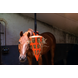 Excellent Horse Hay Slowfeeder Fun & Flex Wortel Excellent Horse Hay Slowfeeder Fun & Flex Wortel