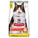 Hill's Feline Adult - Perfect Digestion - Kip & Rijst Hill's Feline Adult - Perfect Digestion - Kip & Rijst
