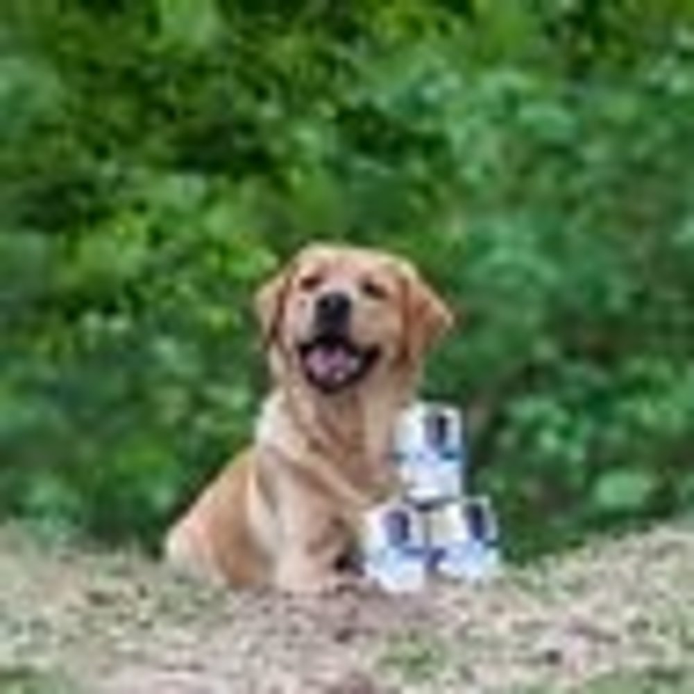 VITALstyle Adult Kip Natvoer Hond VITALstyle Adult Kip Natvoer Hond