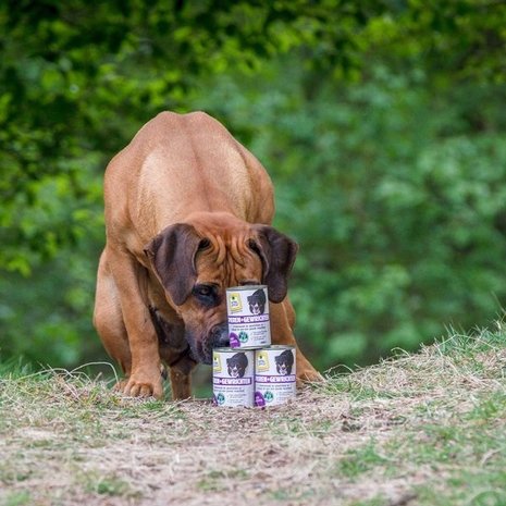 VITALstyle Spieren + Gewrichten Natvoer Hond VITALstyle Spieren + Gewrichten Natvoer Hond