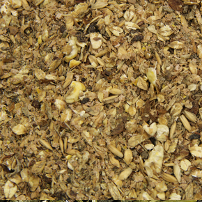 Paarden Slobber Paarden Slobber