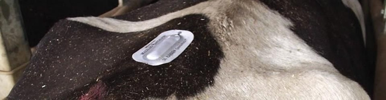 Kamar Tochtigheid Indicator 25 stuks Kamar Tochtigheid Indicator 25 stuks