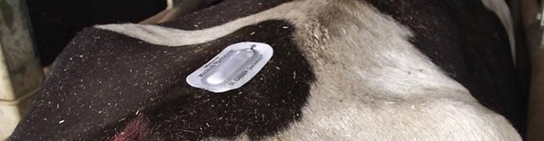 Kamar Tochtigheid Indicator 25 stuks Kamar Tochtigheid Indicator 25 stuks