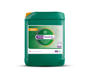 Intracare Intra Hoof-Fit Spray K&K 20 L Intracare Intra Hoof-Fit Spray K&K 20 L