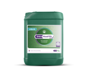 Intracare Intra Hoof-Fit Liquid 10 L Intracare Intra Hoof-Fit Liquid 10 L