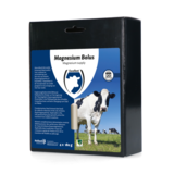 Excellent Magnesium Bolus