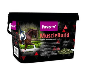Pavo MuscleBuild 3 kg Pavo MuscleBuild 3 kg