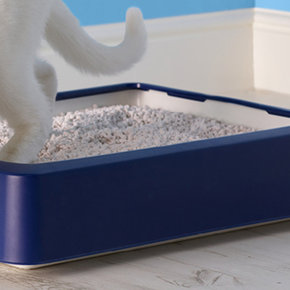 Kattenbakvulling Kattenbakvulling