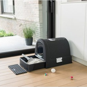 Kattenbakken Kattenbakken