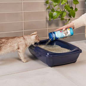 Geurverdrijvers Geurverdrijvers