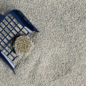 Kattenbak Accessoires  Kattenbak Accessoires