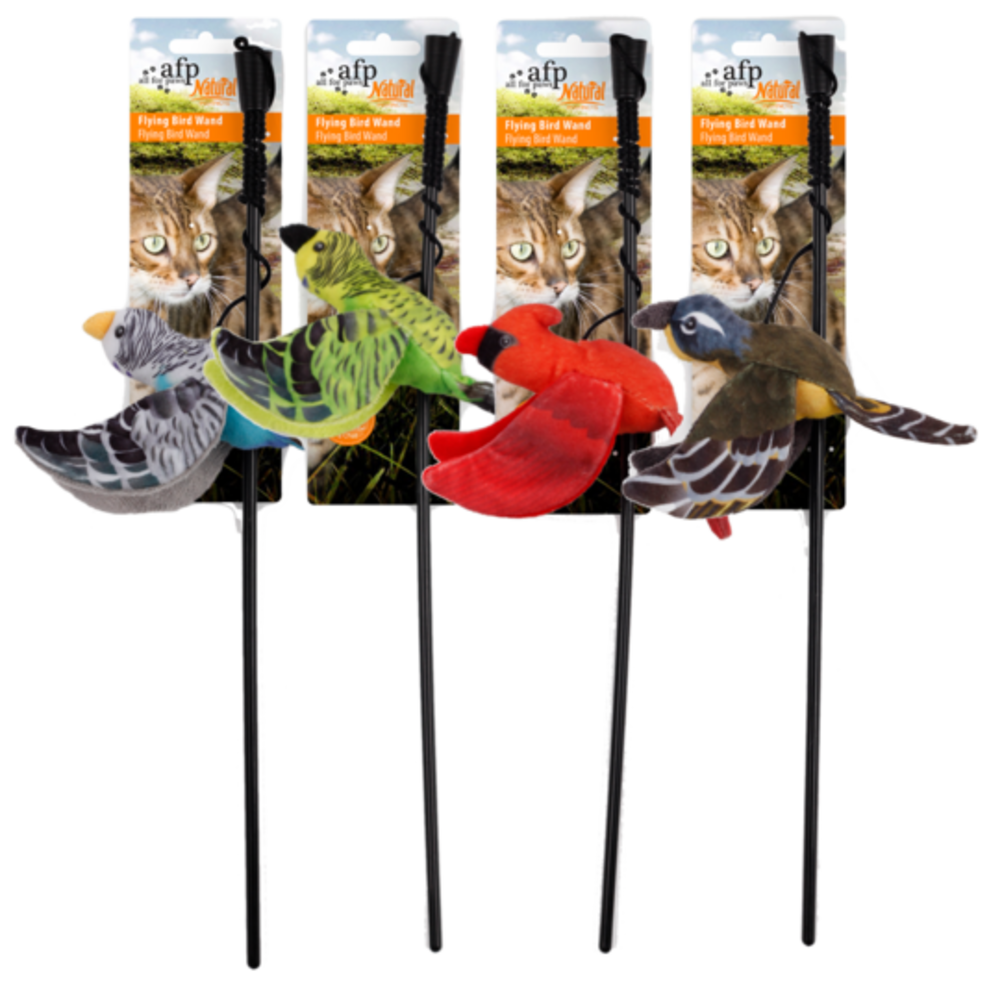 AFP Speelhengel Vogel AFP Speelhengel Vogel