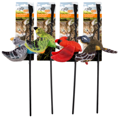 AFP Speelhengel Vogel AFP Speelhengel Vogel