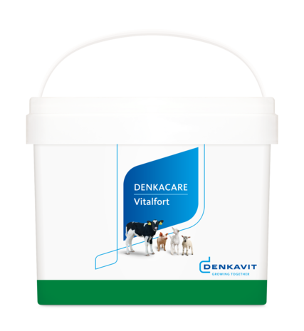 Denkacare VitalFort