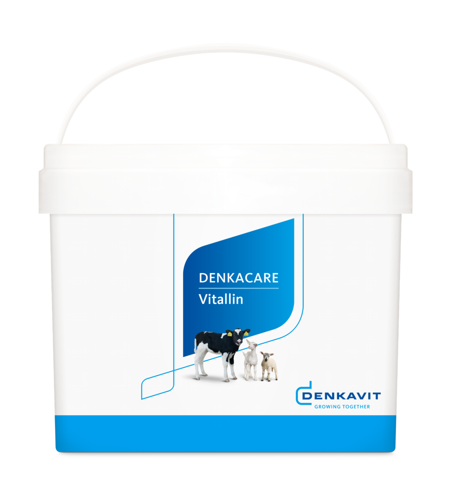 Denkacare Vitallin Denkacare Vitallin