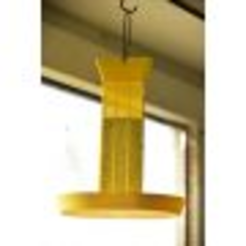 Advion Flybait 500 gram Advion Flybait 500 gram