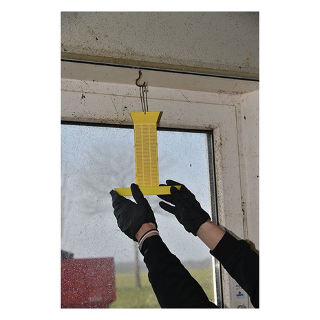 Advion Flybait Indoor Lokstation Advion Flybait Indoor Lokstation