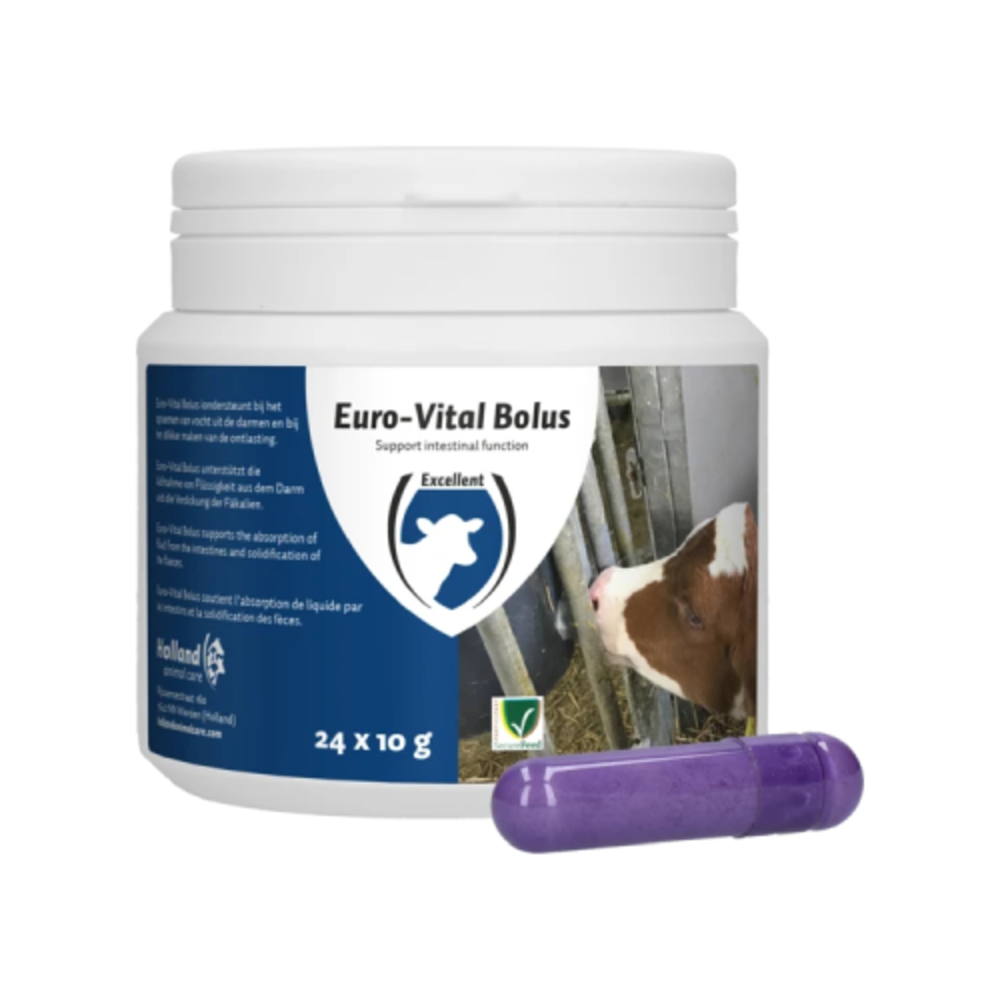 Excellent Euro-Vital Bolus 24 stuks Excellent Euro-Vital Bolus 24 stuks