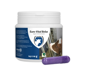 Excellent Euro-Vital Bolus 24 stuks Excellent Euro-Vital Bolus 24 stuks