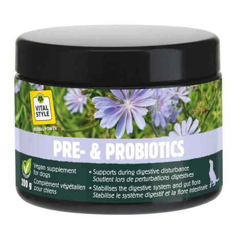 VITALstyle Pre- & Probiotics 200 gr VITALstyle Pre- & Probiotics 200 gr