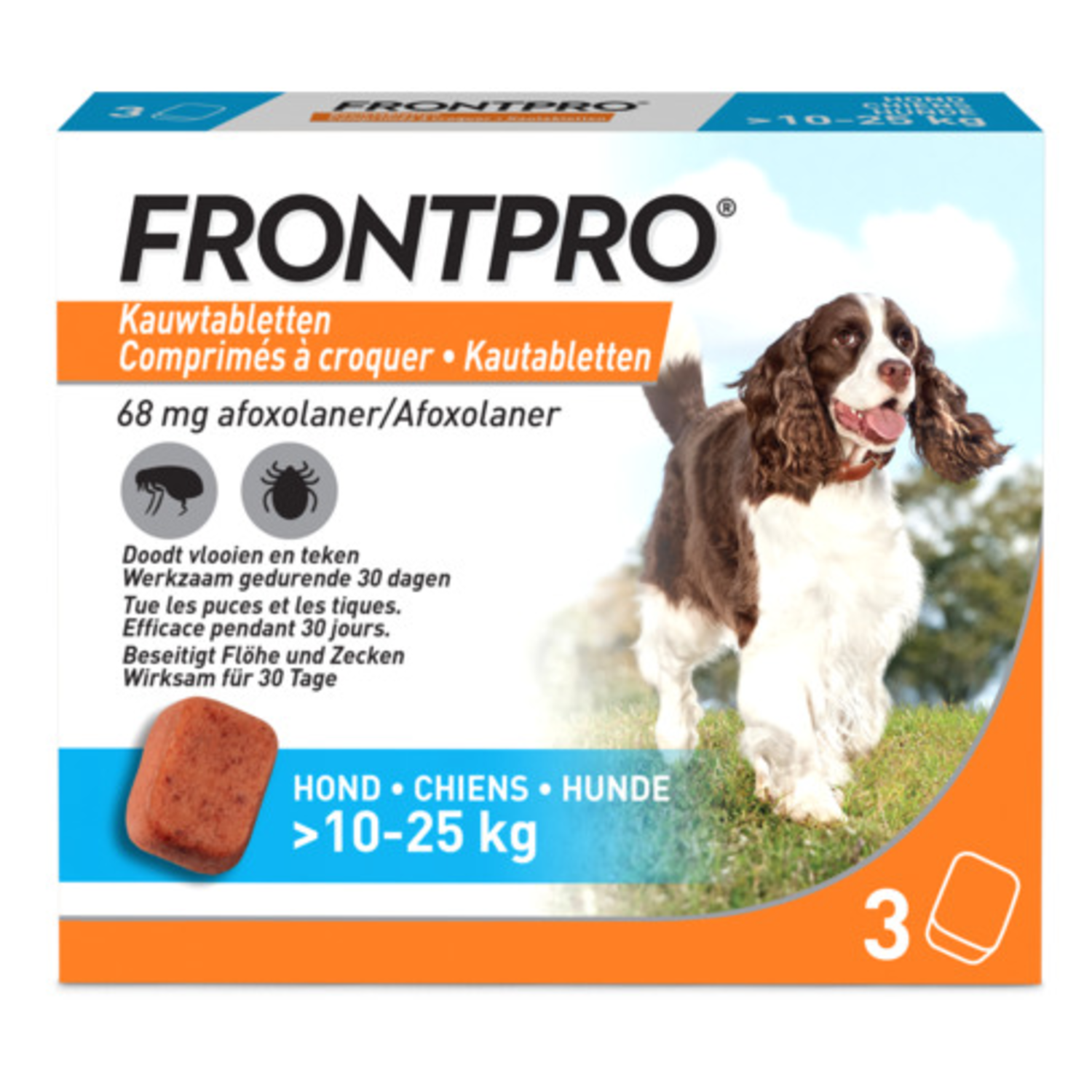 Evaluatie microscopisch vrek FrontPro Kauwtablet Hond L (10 tot 25 kg) - Agridiscounter