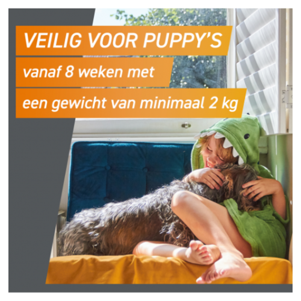 Frontline FrontPro Kauwtablet Hond XL (25 tot 50 kg) Frontline FrontPro Kauwtablet Hond XL (25 tot 50 kg)