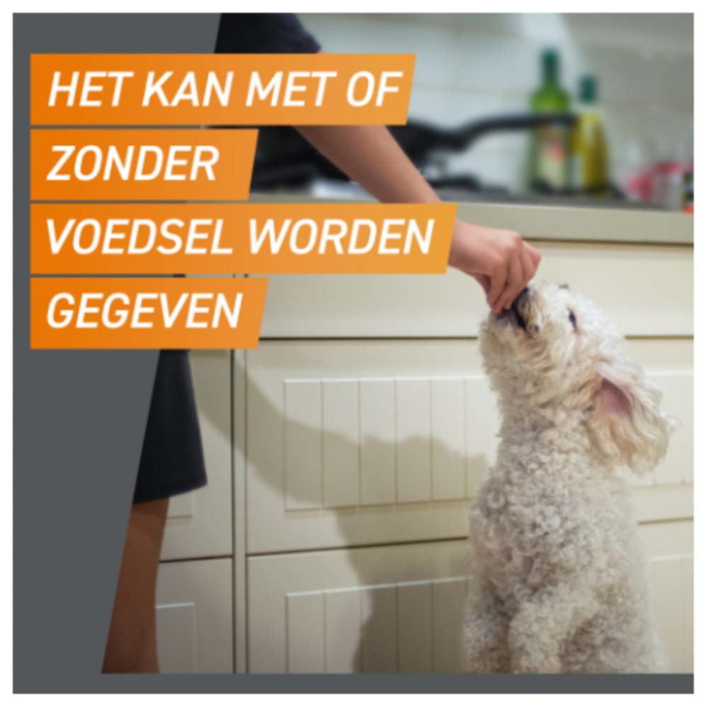 Frontline FrontPro Kauwtablet Hond XL (25 tot 50 kg) Frontline FrontPro Kauwtablet Hond XL (25 tot 50 kg)