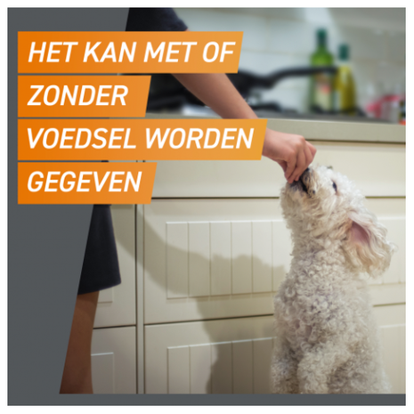 Frontline FrontPro Kauwtablet Hond XL (25 tot 50 kg) Frontline FrontPro Kauwtablet Hond XL (25 tot 50 kg)