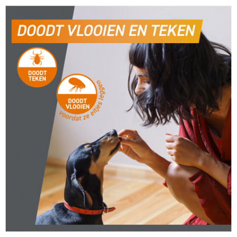 Frontline FrontPro Kauwtablet Hond XL (25 tot 50 kg) Frontline FrontPro Kauwtablet Hond XL (25 tot 50 kg)