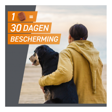 Frontline FrontPro Kauwtablet Hond XL (25 tot 50 kg) Frontline FrontPro Kauwtablet Hond XL (25 tot 50 kg)