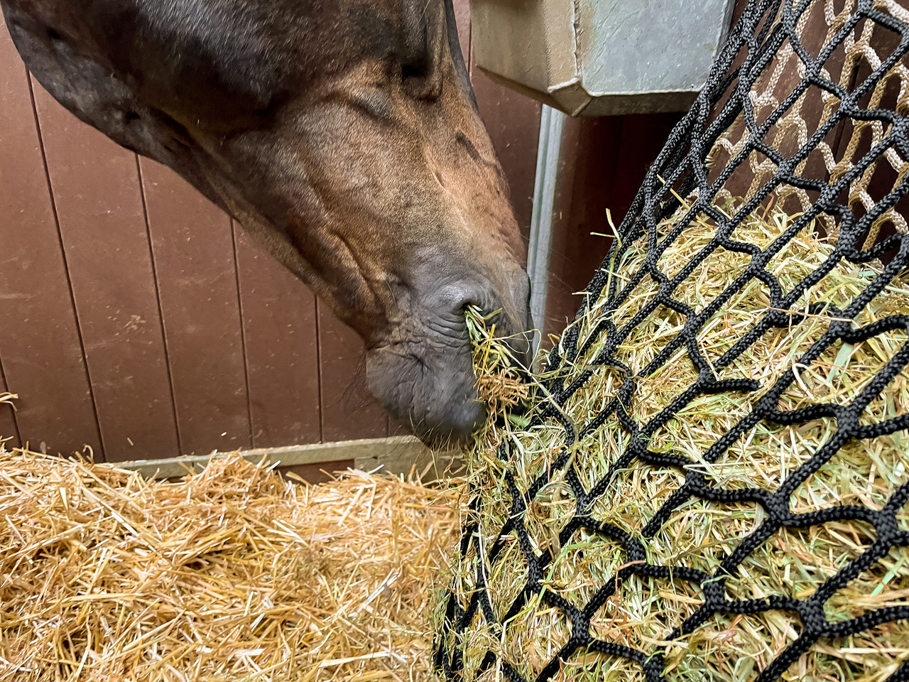Excellent Horse Hay Slowfeeder Duo Net 10 kg Excellent Horse Hay Slowfeeder Duo Net 10 kg