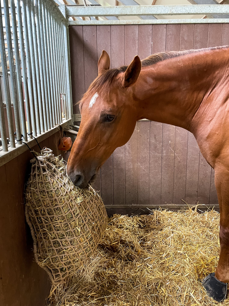 Excellent Horse Hay Slowfeeder Net (fijnmazig) Excellent Horse Hay Slowfeeder Net (fijnmazig)