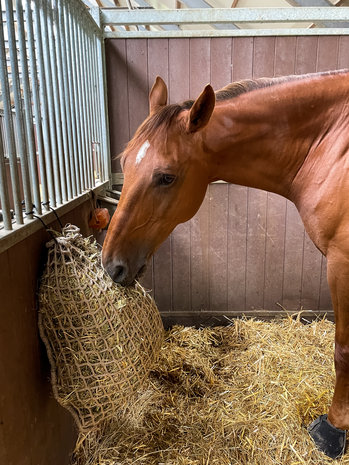Excellent Horse Hay Slowfeeder Net (fijnmazig) Excellent Horse Hay Slowfeeder Net (fijnmazig)