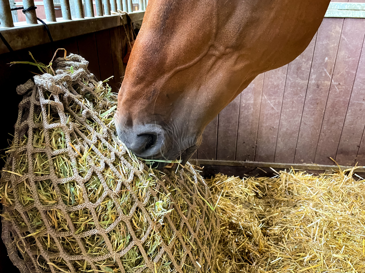 Excellent Horse Hay Slowfeeder Net (fijnmazig) Excellent Horse Hay Slowfeeder Net (fijnmazig)