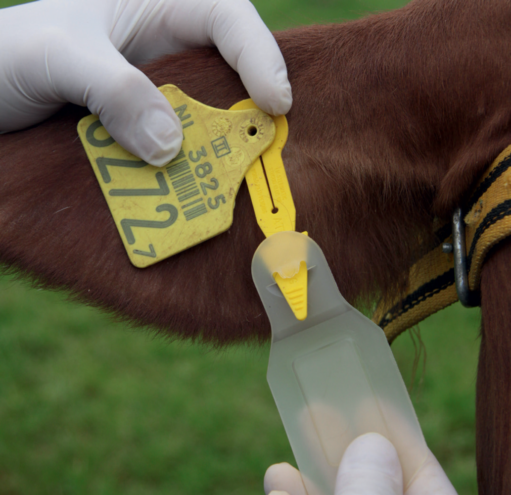 Virbac Auriplak Vliegenoormerk 10 stuks Virbac Auriplak Vliegenoormerk 10 stuks