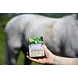 VITALstyle Shampoobar White & Peppermint VITALstyle Shampoobar White & Peppermint