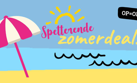 Gratis Bestway Zwembad bij besteding van € 650,- excl. btw!