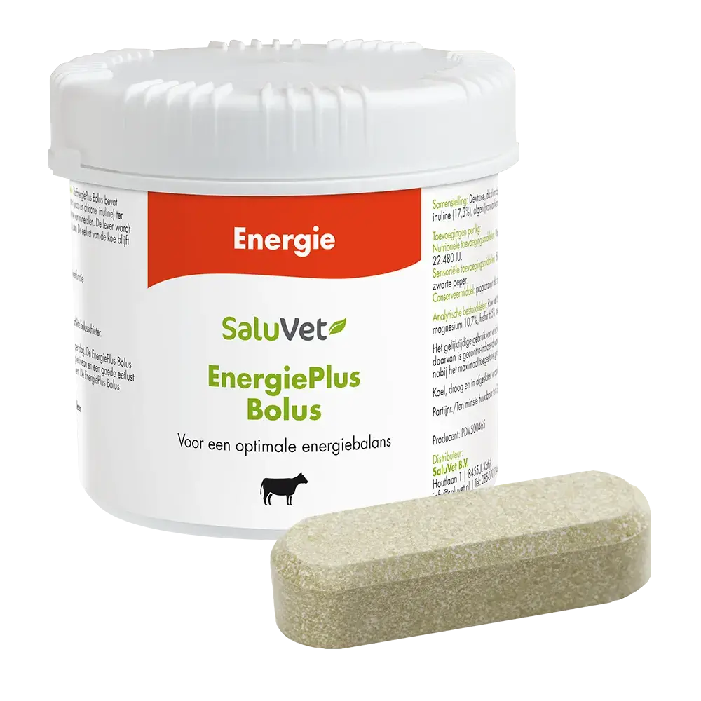 Saluvet EnergiePlus Bolus Saluvet EnergiePlus Bolus