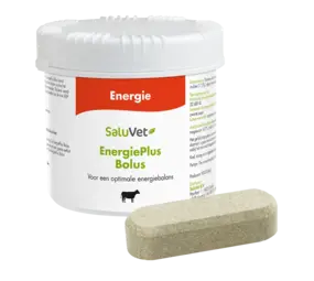 Saluvet EnergiePlus Bolus Saluvet EnergiePlus Bolus
