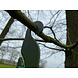 Feather World Voerstation Tuinvogels Feather World Voerstation Tuinvogels