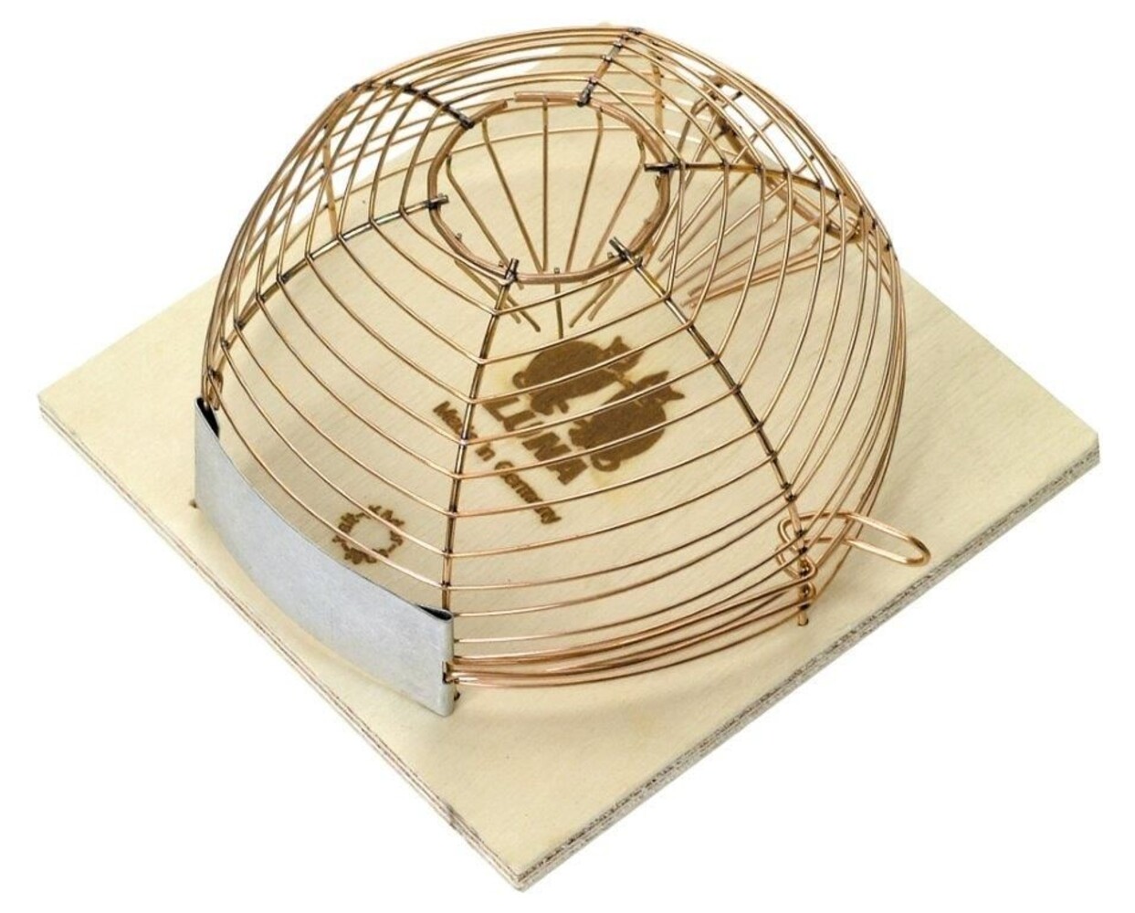 Luna Muizenval Ronde Korf Luna