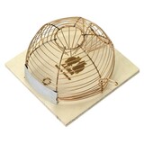 Luna Muizenval Ronde Korf Luna Luna Muizenval Ronde Korf Luna