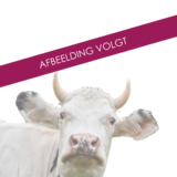 Boviloxx Doseerpomp Boviloxx