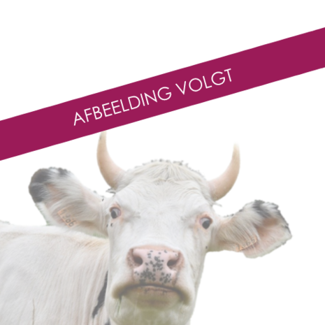 Boviloxx Doseerpomp Boviloxx