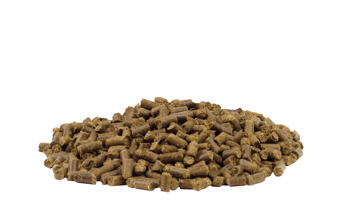 VITALstyle Oerbalans Paard Brok - 4 kg VITALstyle Oerbalans Paard Brok - 4 kg