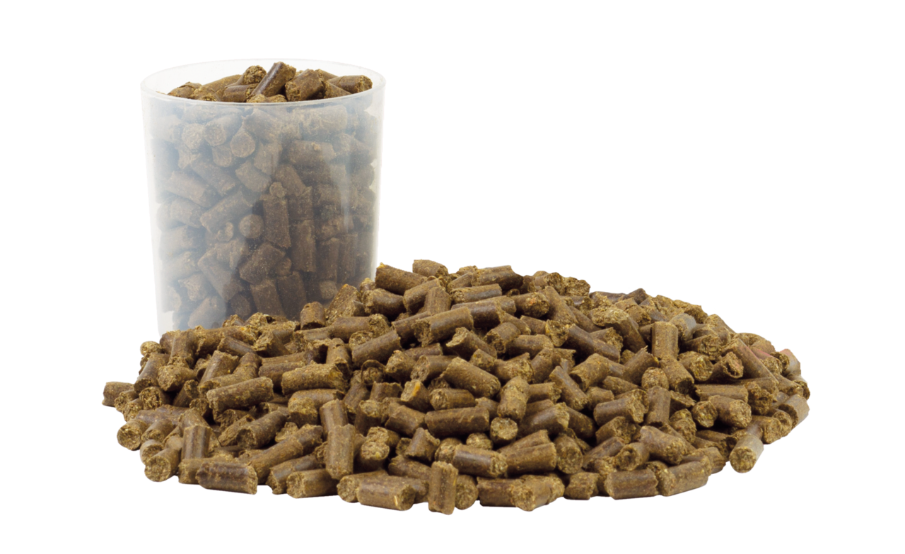 VITALstyle Oerbalans Paard Brok - 4 kg VITALstyle Oerbalans Paard Brok - 4 kg