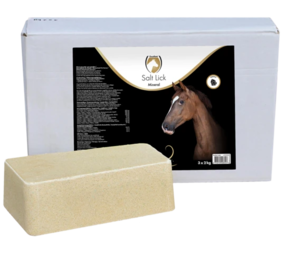 Excellent Horse Liksteen 'Mineral' Paard Excellent Horse Liksteen 'Mineral' Paard