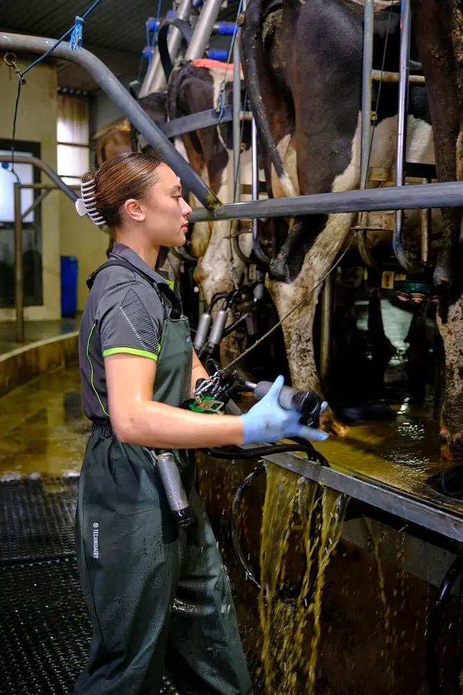 Betacraft Technidairy Overall Groen Betacraft Technidairy Overall Groen