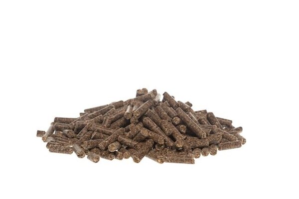 Hedric Geiten en Bokkenbrok 20 kg